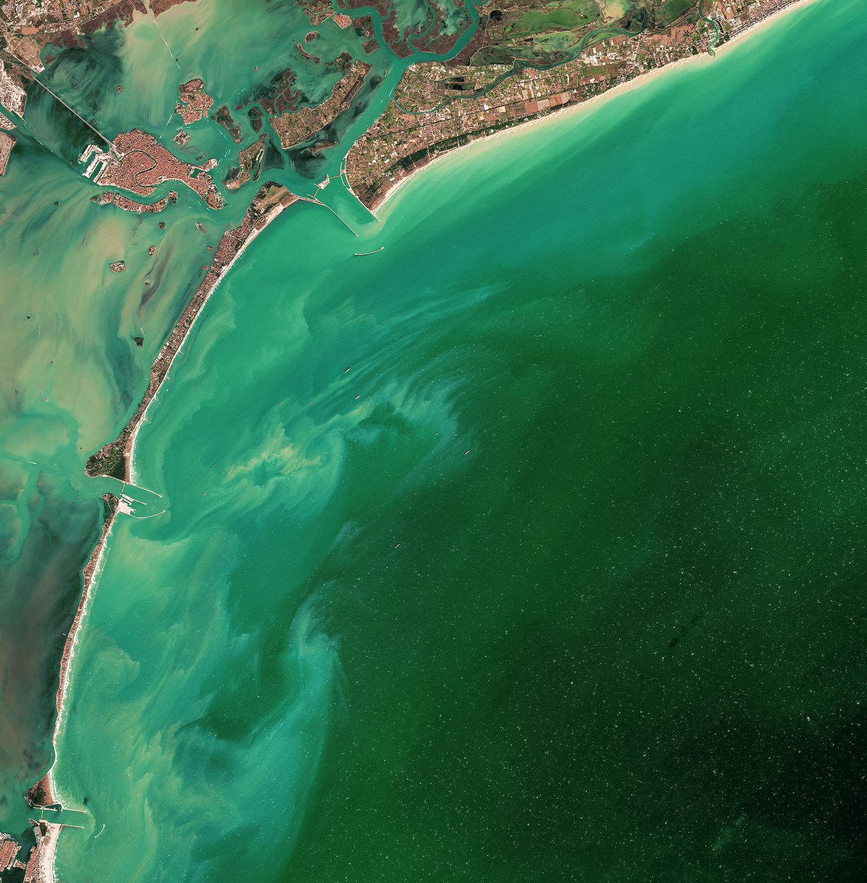 Landsat view of Venice Lagoon and its barrier islands, with green sediment-rich Adriatic water near the Malamocco inlet.